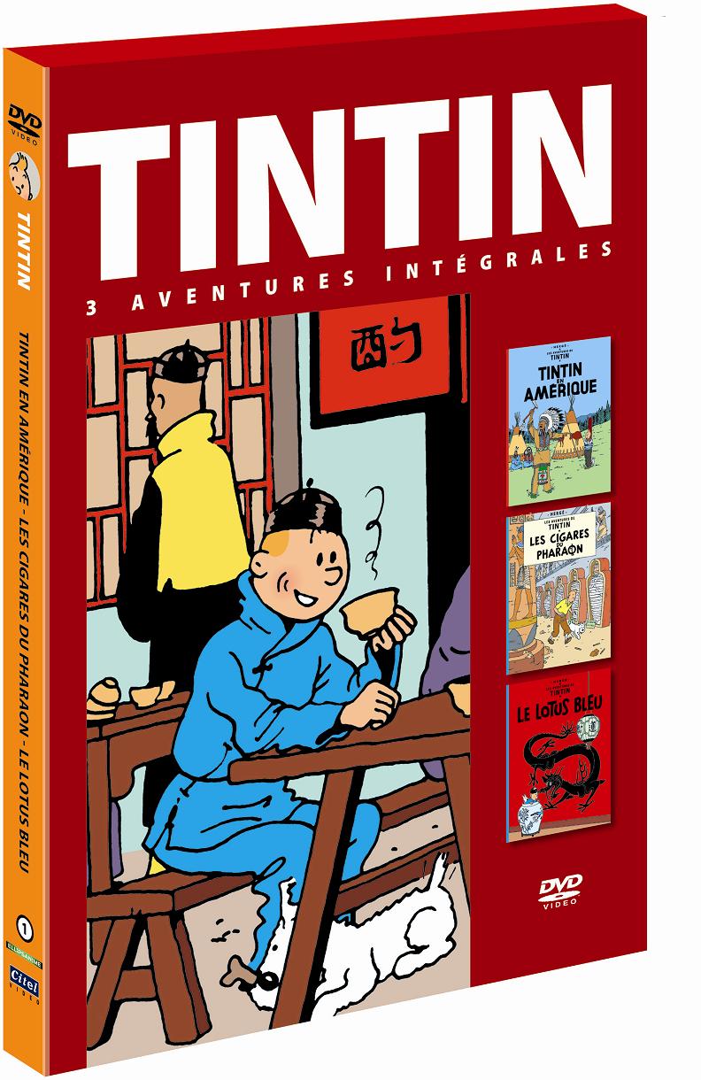 tintin1-lotus