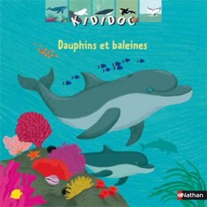 kididoc_dauphins