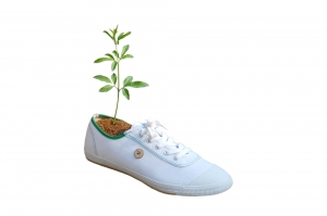 Chaussure_blanche_-_arbre