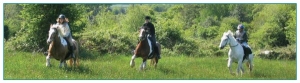 equitation_irlande