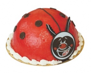 Coccinelle