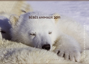 Couv_BBS_ANIMAUX