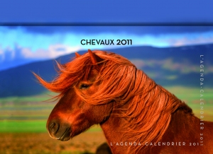 Couv_CHEVAUX