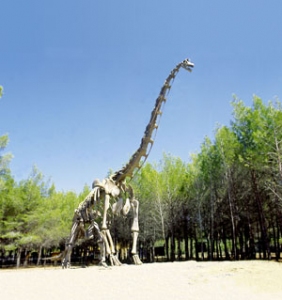 Brachiosaure