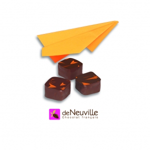 De_Neuville_GIANDUJA_NOISETTE_Fte_des_Pres_2011