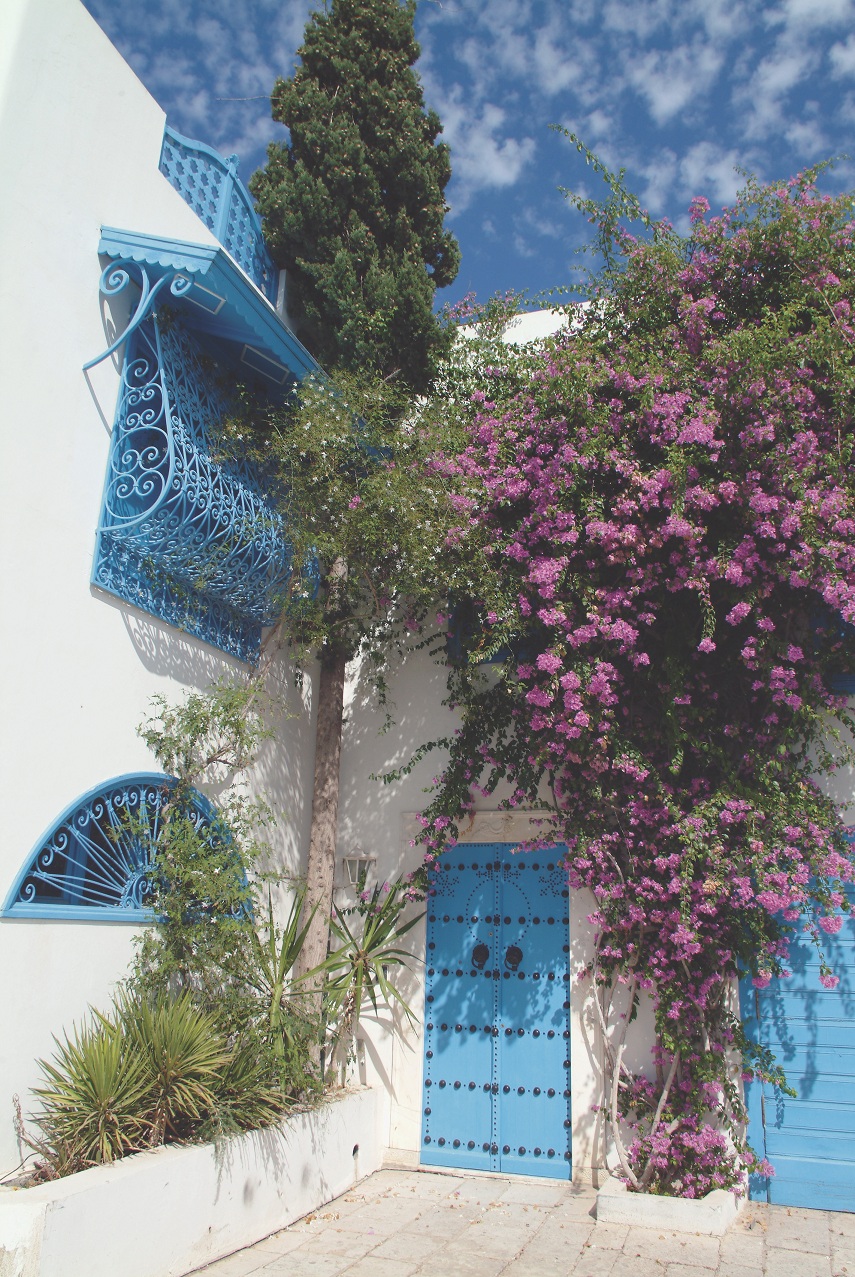 Sidi_Bou_Said