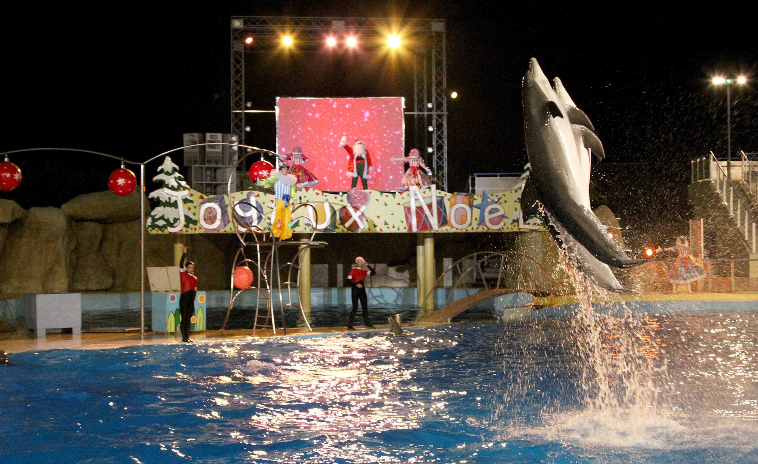 Noel_a_Marineland_2