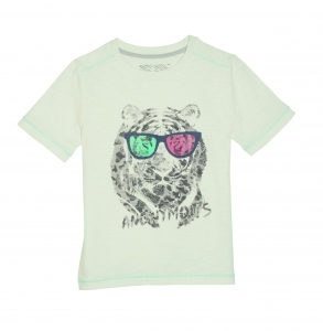 Tshirt_lion