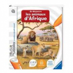 afrique20130602