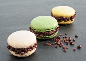 Macarons_Roquefort_Socit_chocolat_ptilant