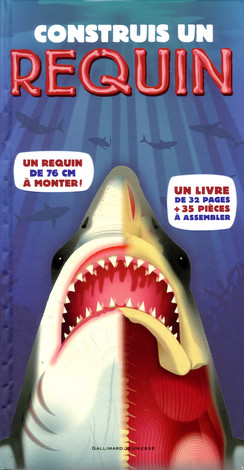 requin-gal