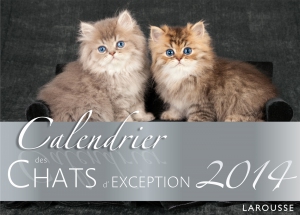 couverture_calendrier_chat_dexception_1400px