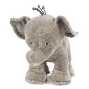 elephant20140205