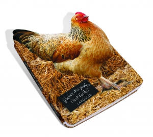 poule_1400px