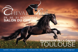 afficheChevalRoi2014