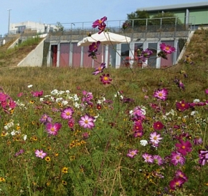 Collines_Printemps