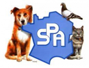 logo_spa