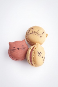 Packshot_Macaron_Badou_by_Lentre_cT._Dhellemmes