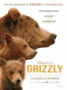 120x160_CREA_GRIZZLY-HD