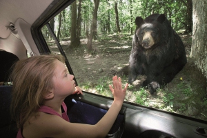 COPIE_Enfant_voiture_10V3