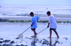 Hotel_des_Isles_-_Peche_a_pied_plage_-_B.Riviere-CDTManche