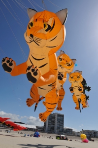 RENCONTRES_INTERNATIONALES_DE_CERFS_VOLANTS_DE_BERCK_SUR_MER_5