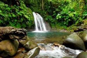 cascade_aux_ecrevisses_en_basse-terre_guadeloupe_03