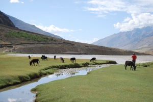 inde_ladakh_dsc_0470_c_kanojia