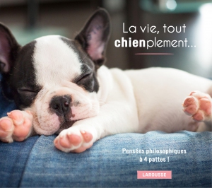 la-vie-tout-CHIENplement-1400px