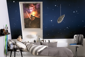 127150-VELUX_StarWars_4710_Landscape