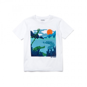 002bis._SS16_LACOSTE_PJ6168-00_Tshirt