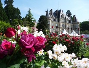 Couv_-_Chateau_en_fleurs