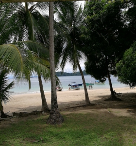 coiba