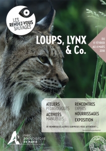 loups_lynx_and_co