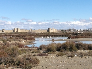 aigues_mortes