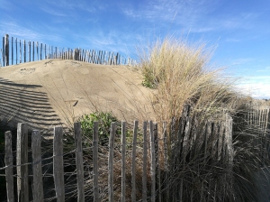 dunes