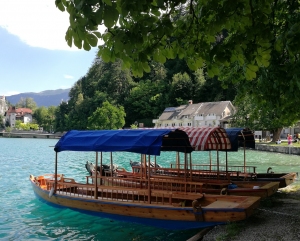 barque_a_bled