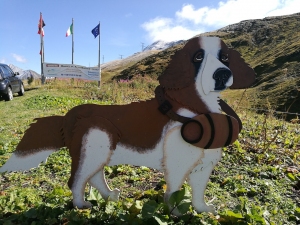 chien_st_bernard