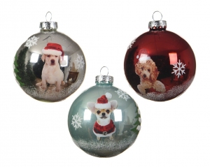 AH18_DP_BHV_NOEL_-_CODECOM_-_Boules_chiens