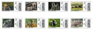 timbres_bebes_animals