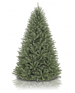 RBS-T-UK_Royal_Blue_Spruce_Unlit