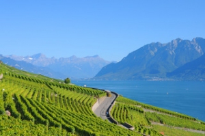 Lavaux_Express