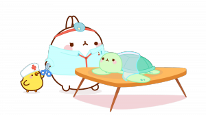 Molang_et_Piu_Piu_tortue_