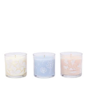 PARTYLITE_MINI_BOUGIES_SIMPLE_VIBES_2