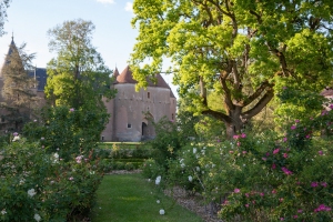 Chateau_dAinay-Le-Vieil_11