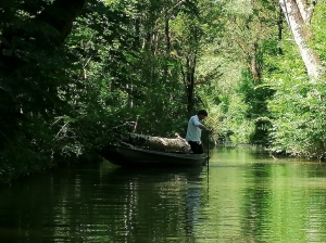 MARAIS_POITEVIN