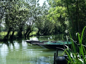 MARAIS_POITEVINOTAMP-M.CHOUCQ-3-BD