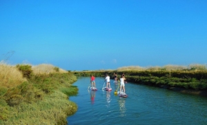 sup-evasion-stand-up-paddle-ile-de-re-galerie-54-705x430