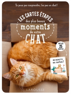 Cartes_etapes_chat