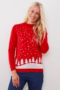 pull-graphique-noel-b-solfin-607187